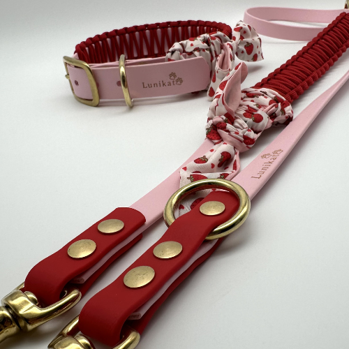 Special Set Strawberry Dream