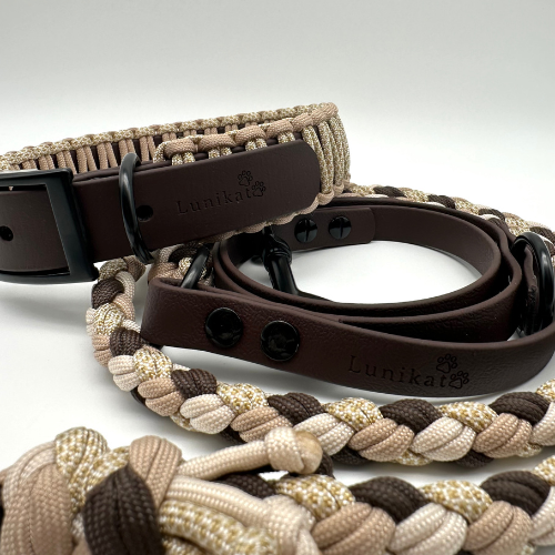 Set aus Leine Loki und Halsband Buddy