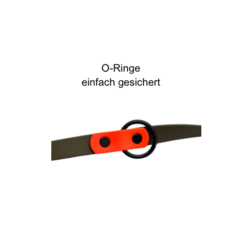 Leine Lotte